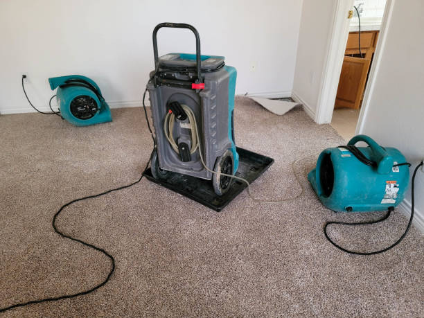 Best Flood damage cleanup  in Hasley Nyon, CA