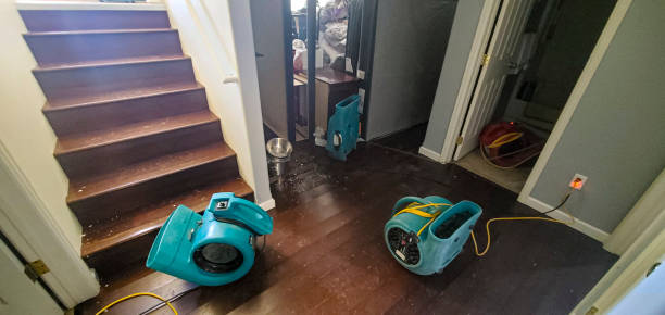 Best Water damage cleanup near me  in Hasley Nyon, CA