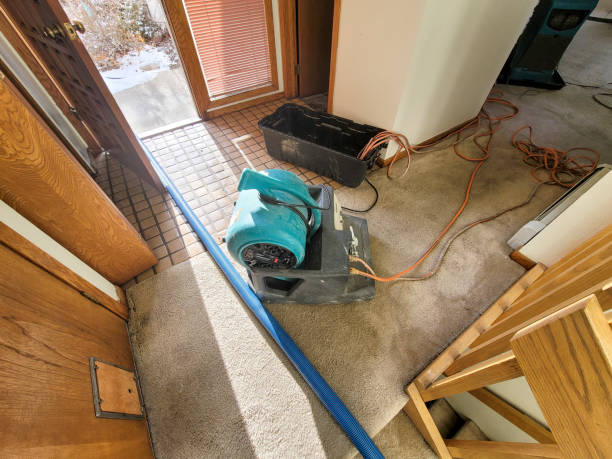 Best Local water damage restoration  in Hasley Nyon, CA