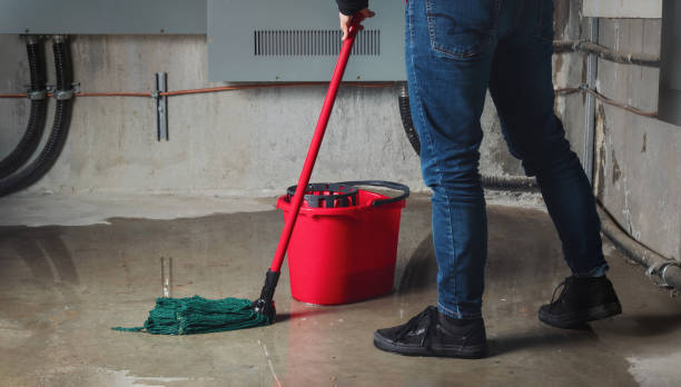 Best Emergency water damage restoration  in Hasley Nyon, CA