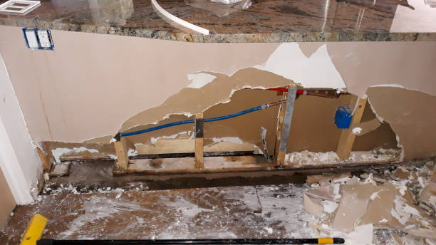 Best Water damage restoration near me  in Hasley Nyon, CA
