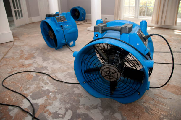 Best Water damage restoration near me  in Hasley Nyon, CA