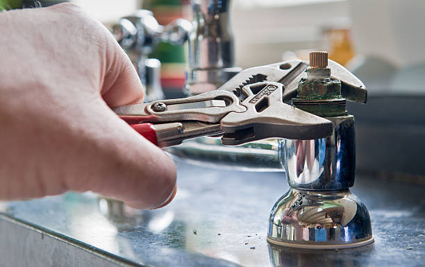 Best Mold removal after water damage  in Hasley Nyon, CA