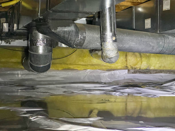 Best Water damage restoration insurance claims  in Hasley Nyon, CA