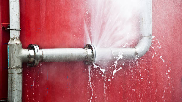 Best Flooded house restoration  in Hasley Nyon, CA